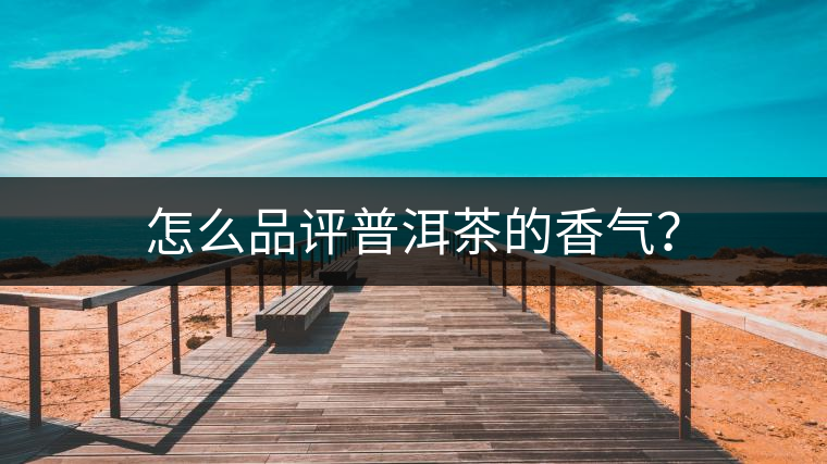 怎么品評普洱茶的香氣？