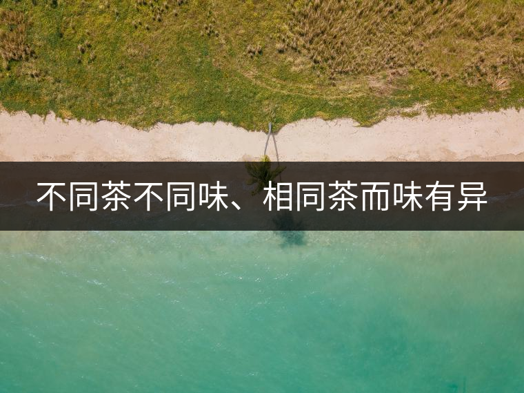 不同茶不同味、相同茶而味有異