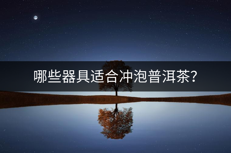 哪些器具適合沖泡普洱茶？