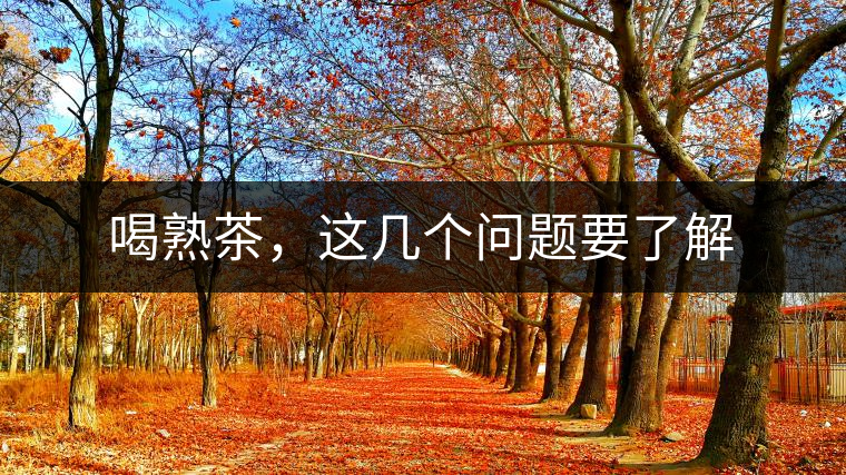 喝熟茶，這幾個問題要了解