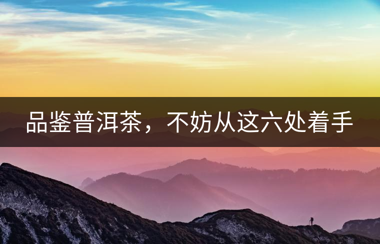 品鑒普洱茶，不妨從這六處著手