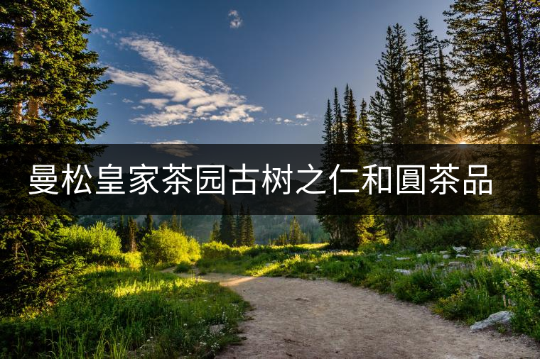 曼松皇家茶園古樹之仁和圓茶品鑒 曼松皇家茶園古樹之仁和圓茶品鑒