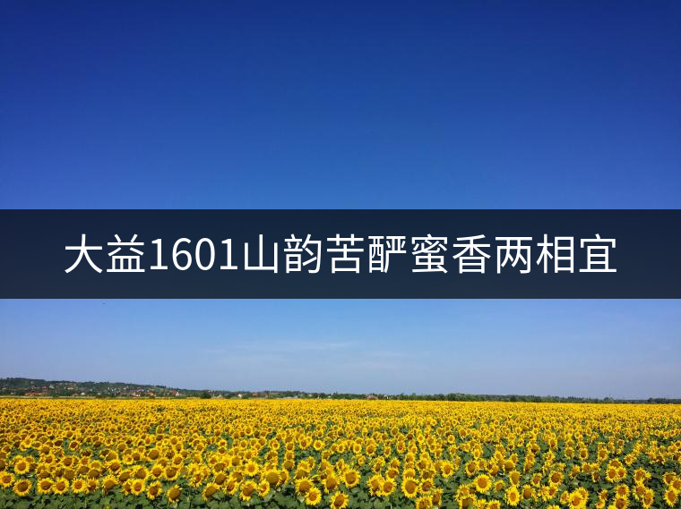 大益1601山韻苦釅蜜香兩相宜