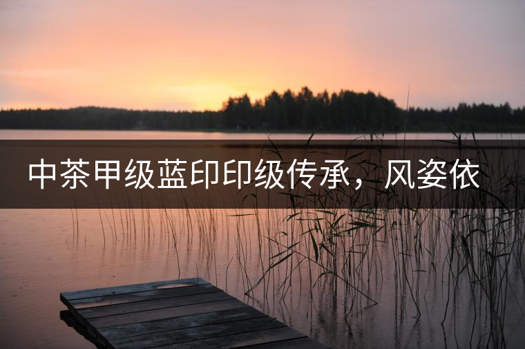 中茶甲級藍(lán)印印級傳承，風(fēng)姿依舊