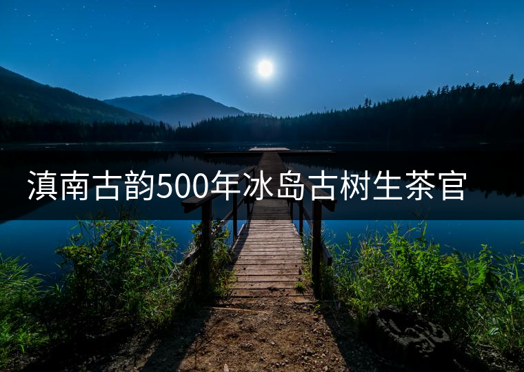 滇南古韻500年冰島古樹生茶官方評測
