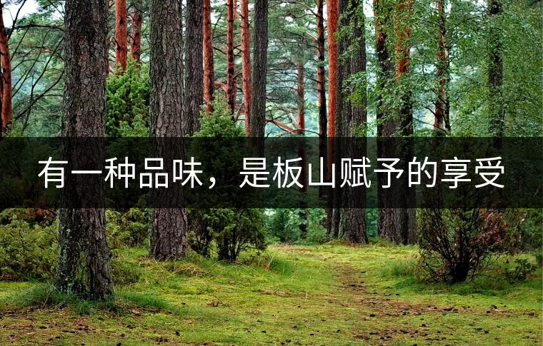 有一種品味，是板山賦予的享受