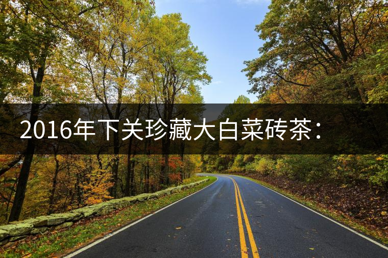 2016年下關(guān)珍藏大白菜磚茶:不一樣的班章茶韻 2016年下關(guān)珍藏大白菜磚茶:不一樣的班章茶韻