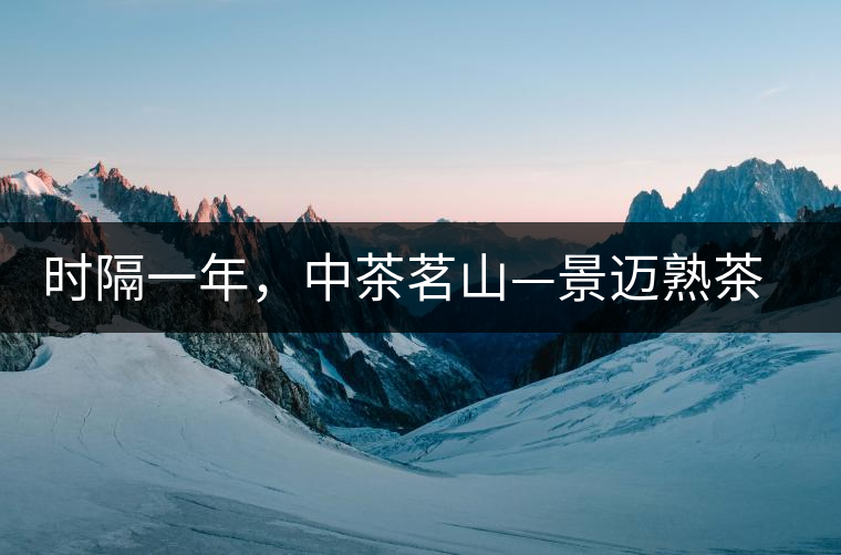 時隔一年，中茶茗山—景邁熟茶有哪些變化