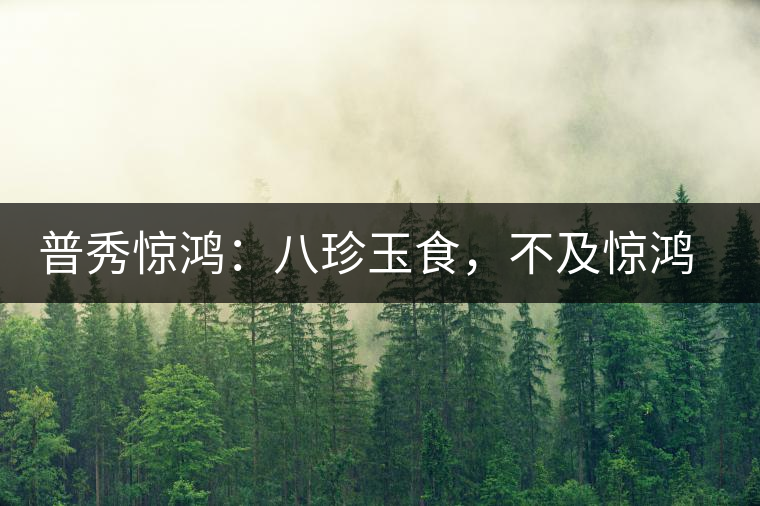 普秀驚鴻：八珍玉食，不及驚鴻一湯