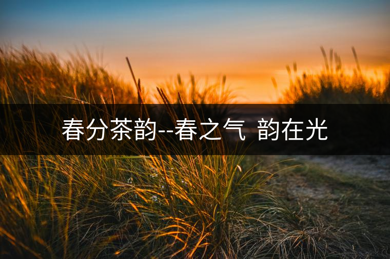春分茶韻--春之氣  韻在光