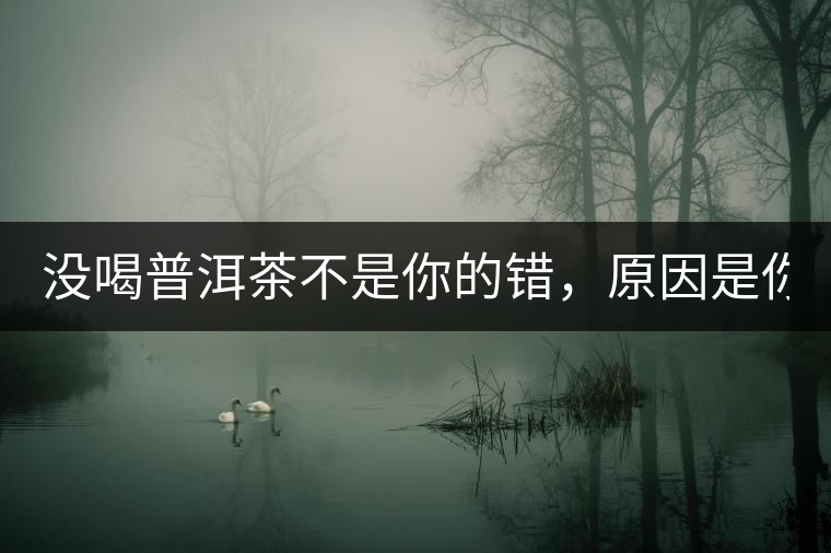 沒喝普洱茶不是你的錯(cuò)，原因是你還沒遇到Y(jié)671與Y562