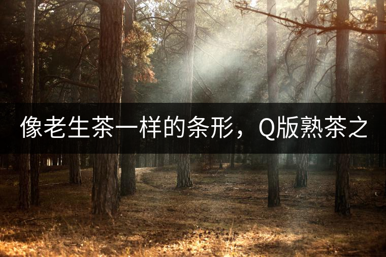 像老生茶一樣的條形，Q版熟茶之【融璞】