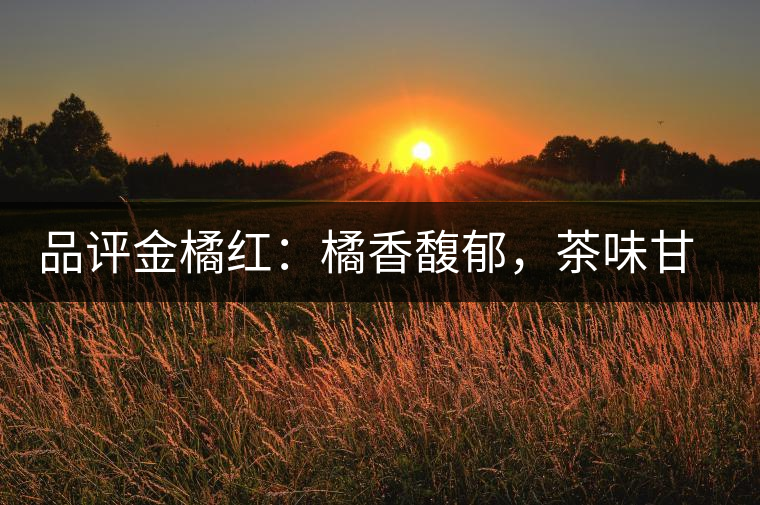 品評(píng)金橘紅：橘香馥郁，茶味甘醇，匠心拼配，臻于至善