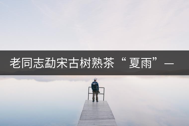老同志勐宋古樹熟茶“ 夏雨”— 飲茶伴夏，只為您！