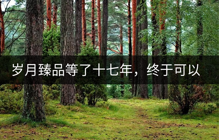 歲月臻品等了十七年，終于可以品味歲月