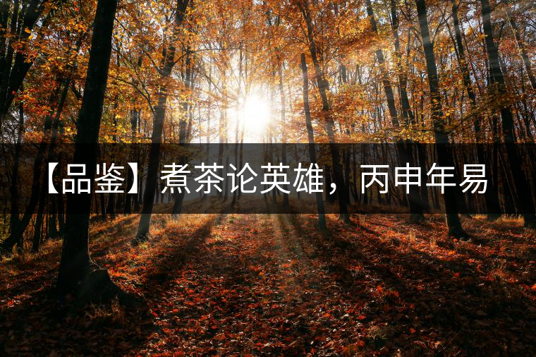 【品鑒】煮茶論英雄，丙申年易武麻黑