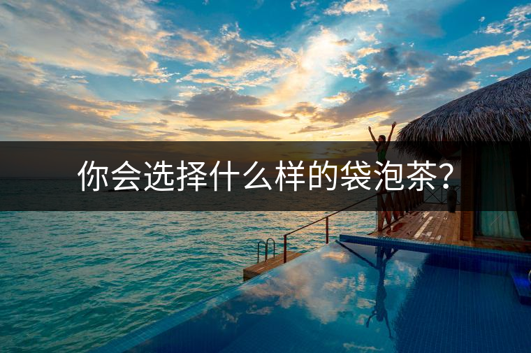 你會選擇什么樣的袋泡茶？