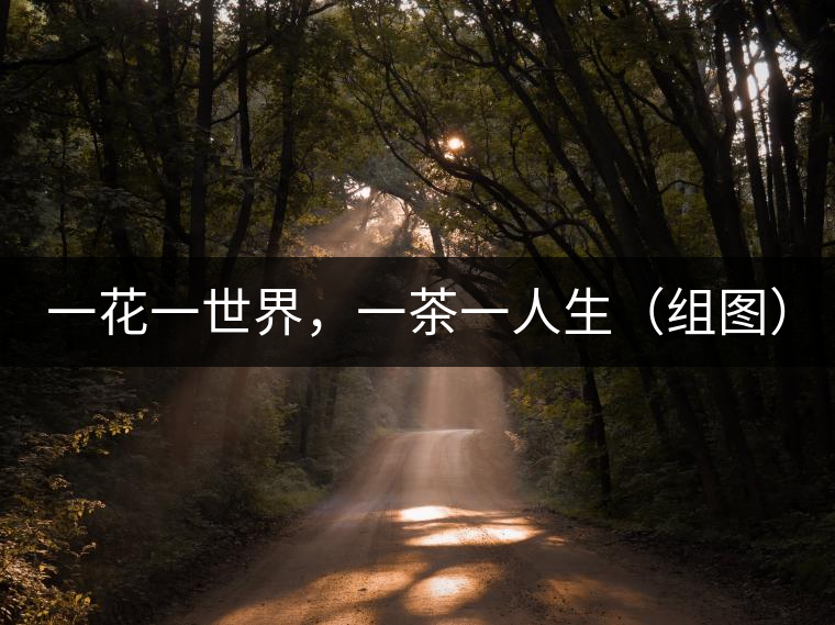 一花一世界，一茶一人生（組圖）