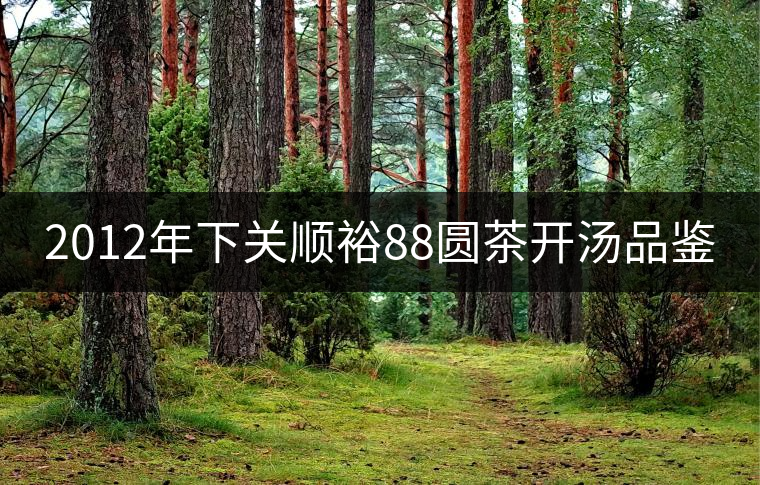 2012年下關(guān)順裕88圓茶開(kāi)湯品鑒