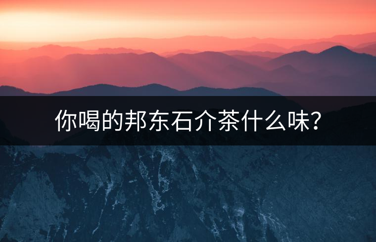 你喝的邦東石介茶什么味？