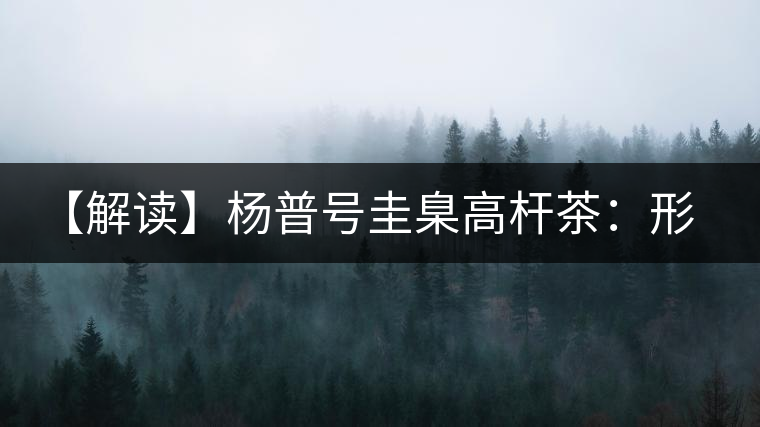 【解讀】楊普號圭臬高桿茶：形高、氣足、韻遠的一款茶
