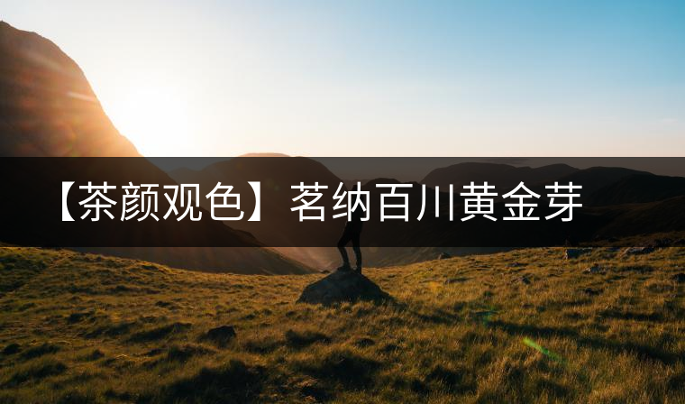 【茶顏觀色】茗納百川黃金芽之美