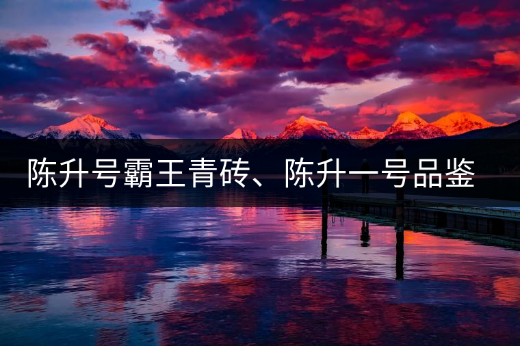 陳升號霸王青磚、陳升一號品鑒【圖】