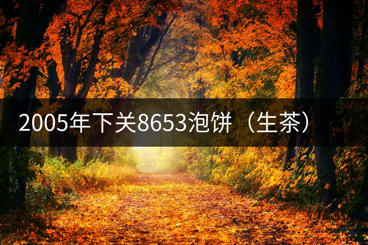 2005年下關(guān)8653泡餅(生茶)品評 2005年下關(guān)8653泡餅(生茶)品評