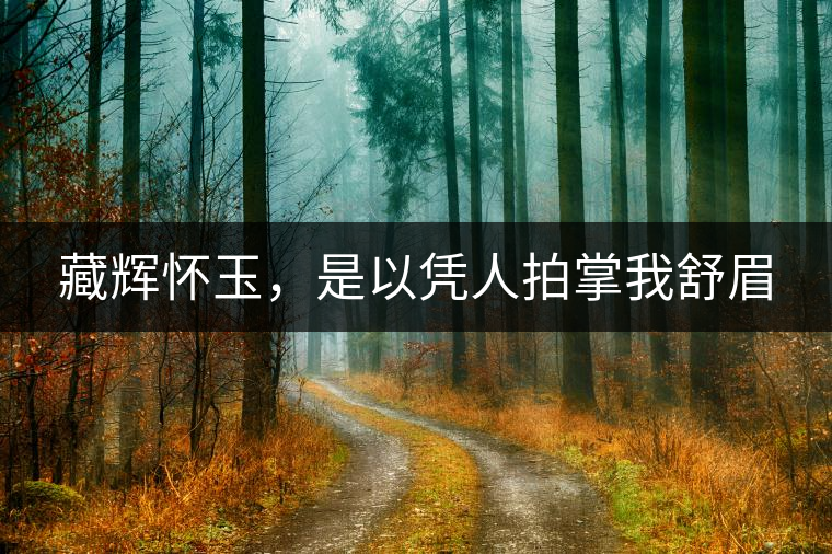 藏輝懷玉，是以憑人拍掌我舒眉