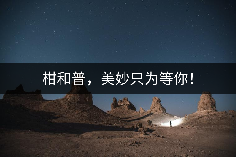 柑和普，美妙只為等你！