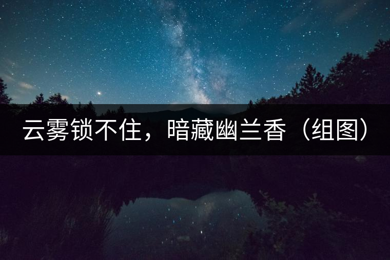 云霧鎖不住，暗藏幽蘭香（組圖）