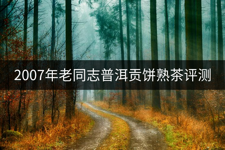 2007年老同志普洱貢餅熟茶評測 2007年老同志普洱貢餅熟茶評測