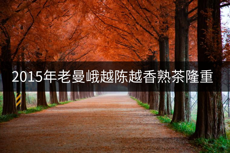 2015年老曼峨越陳越香熟茶隆重上市！