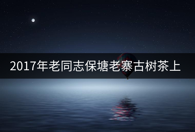 2017年老同志保塘老寨古樹茶上市 2017年老同志保塘老寨古樹茶上市