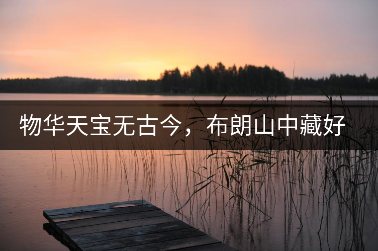 物華天寶無古今，布朗山中藏好茶