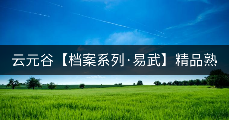 云元谷【檔案系列·易武】精品熟茶，精裝上市！