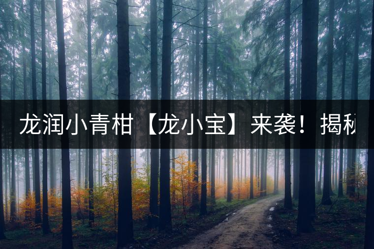 龍潤小青柑【龍小寶】來襲！揭秘它的前半生！