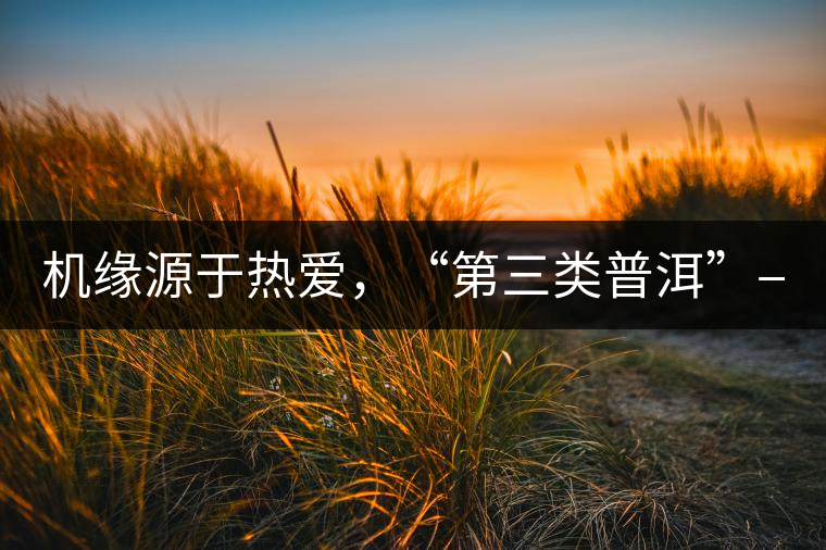 機(jī)緣源于熱愛，“第三類普洱”——“散壓茶TM”的誕生。