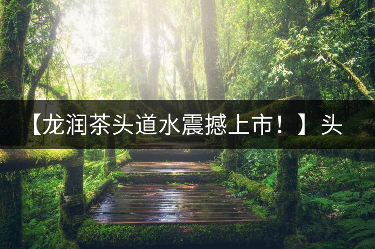 【龍潤茶頭道水震撼上市！】頭道水，二道茶，三道四道是精華！