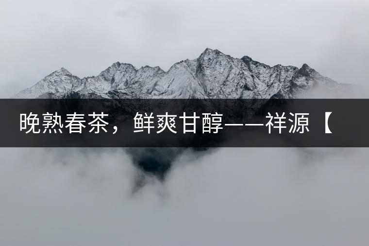 晚熟春茶，鮮爽甘醇——祥源【政和大白】清鮮上市