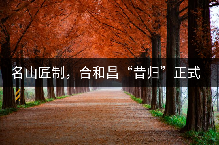 名山匠制，合和昌“昔歸”正式上市