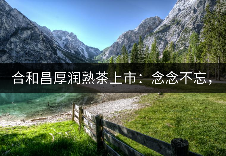 合和昌厚潤熟茶上市：念念不忘，必有回響！