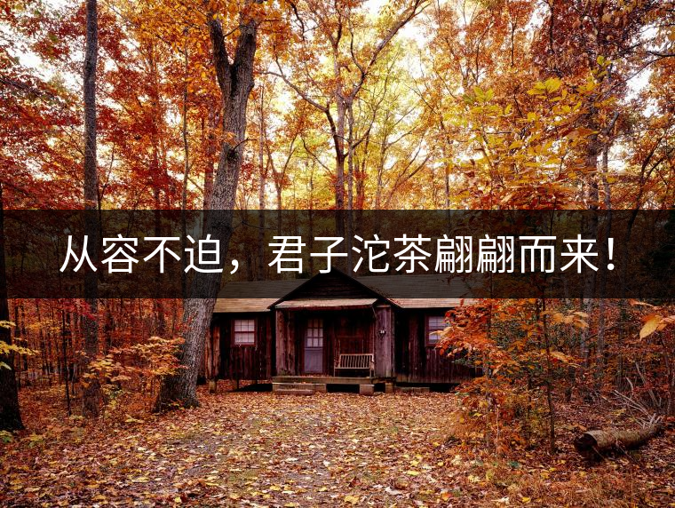 從容不迫，君子沱茶翩翩而來！