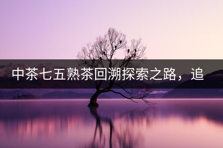 中茶七五熟茶回溯探索之路，追尋歷史印跡