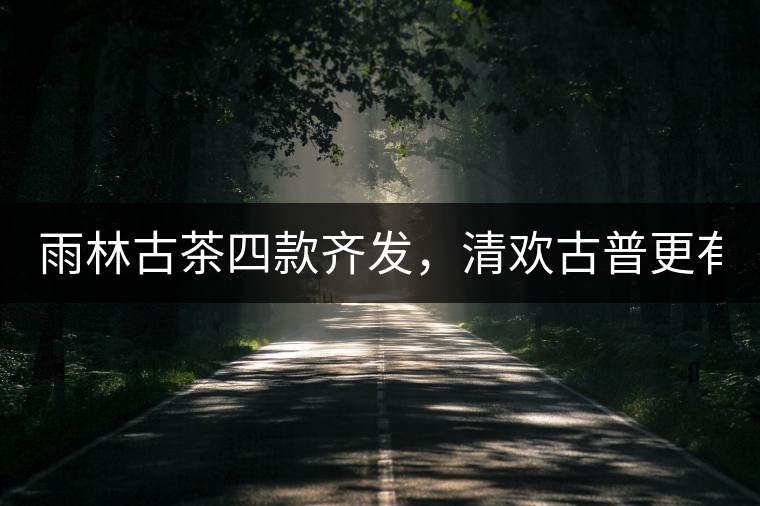 雨林古茶四款齊發(fā)，清歡古普更有味！