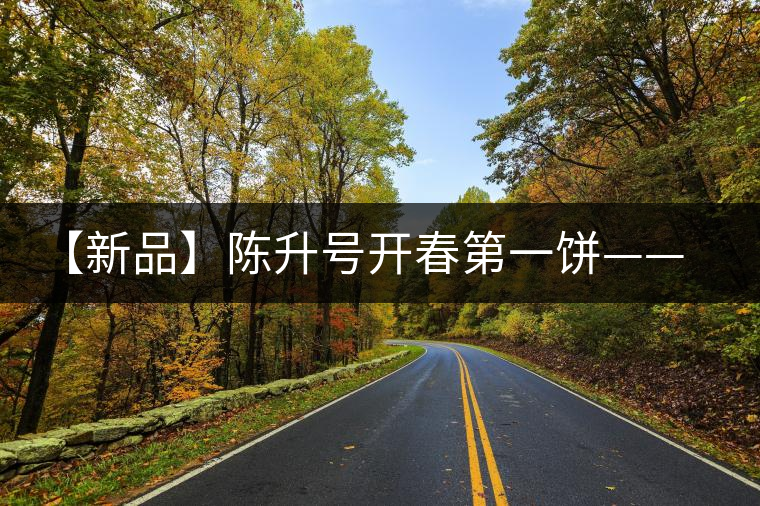 【新品】陳升號(hào)開(kāi)春第一餅——“青云”即將上線