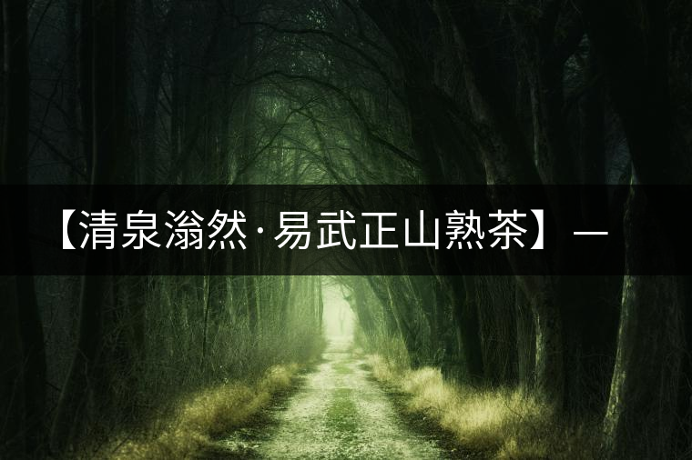 【清泉滃然·易武正山熟茶】——熨帖冬季的寒冷，來(lái)的正是時(shí)候！