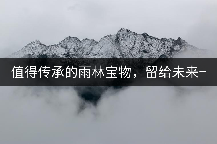 值得傳承的雨林寶物，留給未來一點“回甘”！