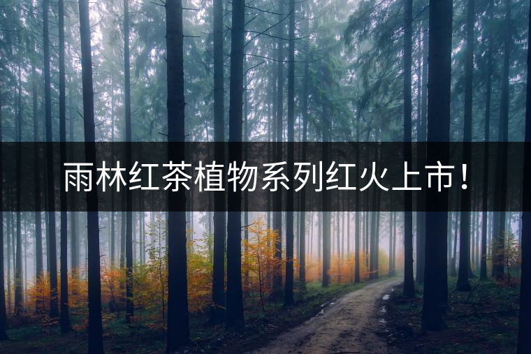 雨林紅茶植物系列紅火上市！
