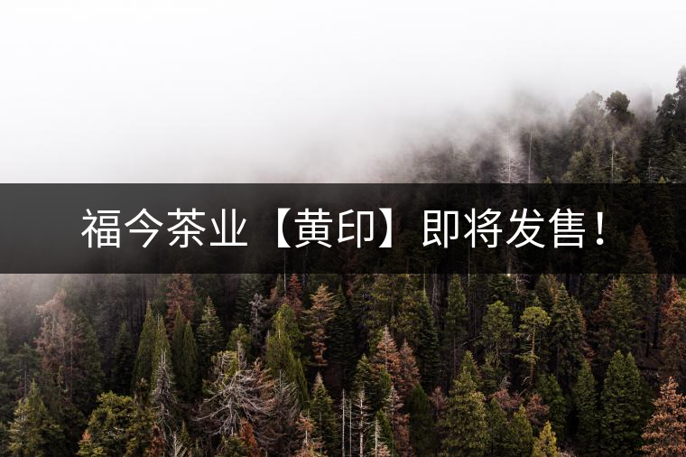 福今茶業(yè)【黃印】即將發(fā)售！